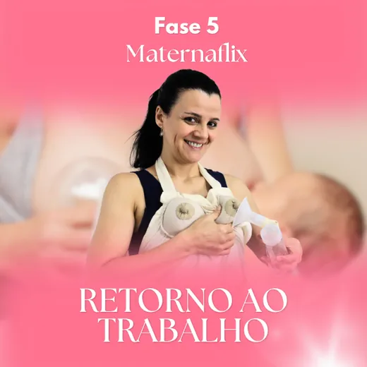 Fase 5: Retorno ao Trabalho