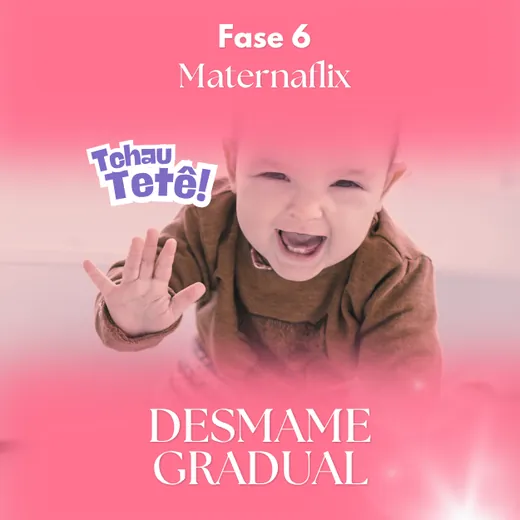 Fase 6: Desmame Gradual
